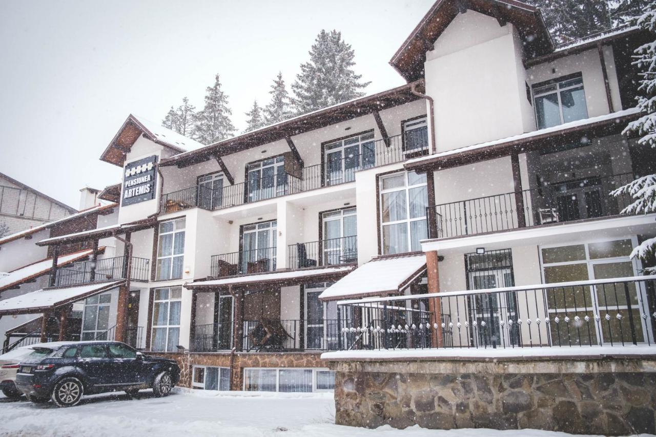 Artemis Villa Poiana Brašov Exteriér fotografie