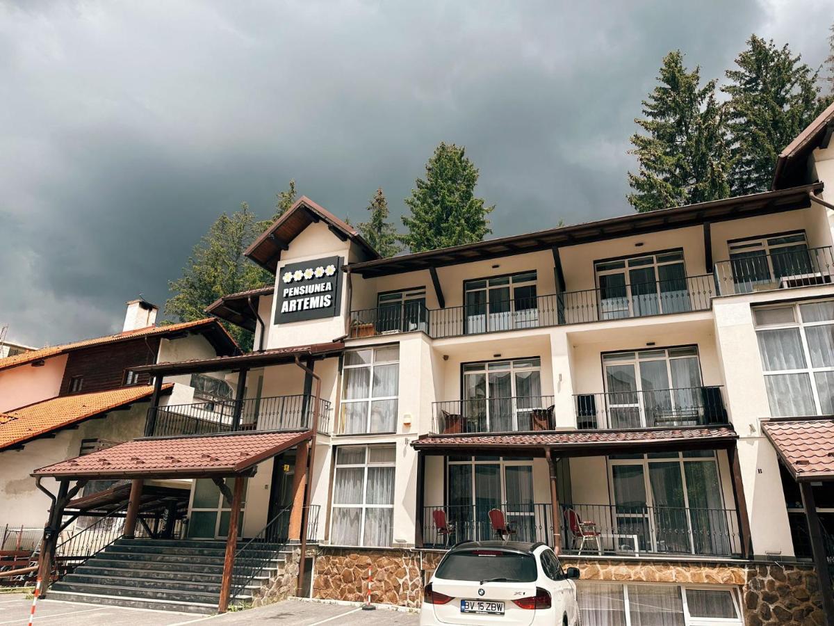 Artemis Villa Poiana Brašov Exteriér fotografie