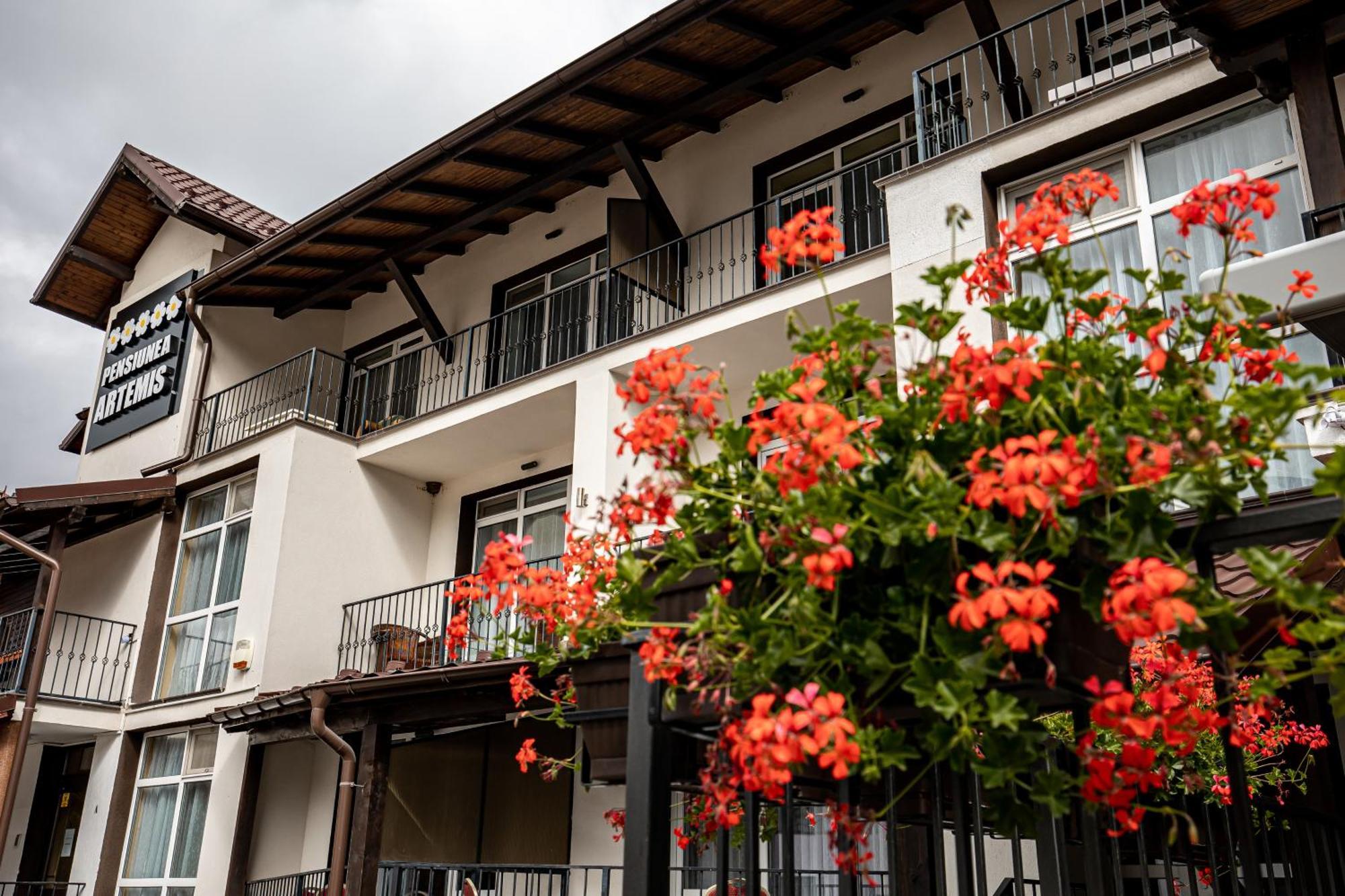 Artemis Villa Poiana Brašov Exteriér fotografie