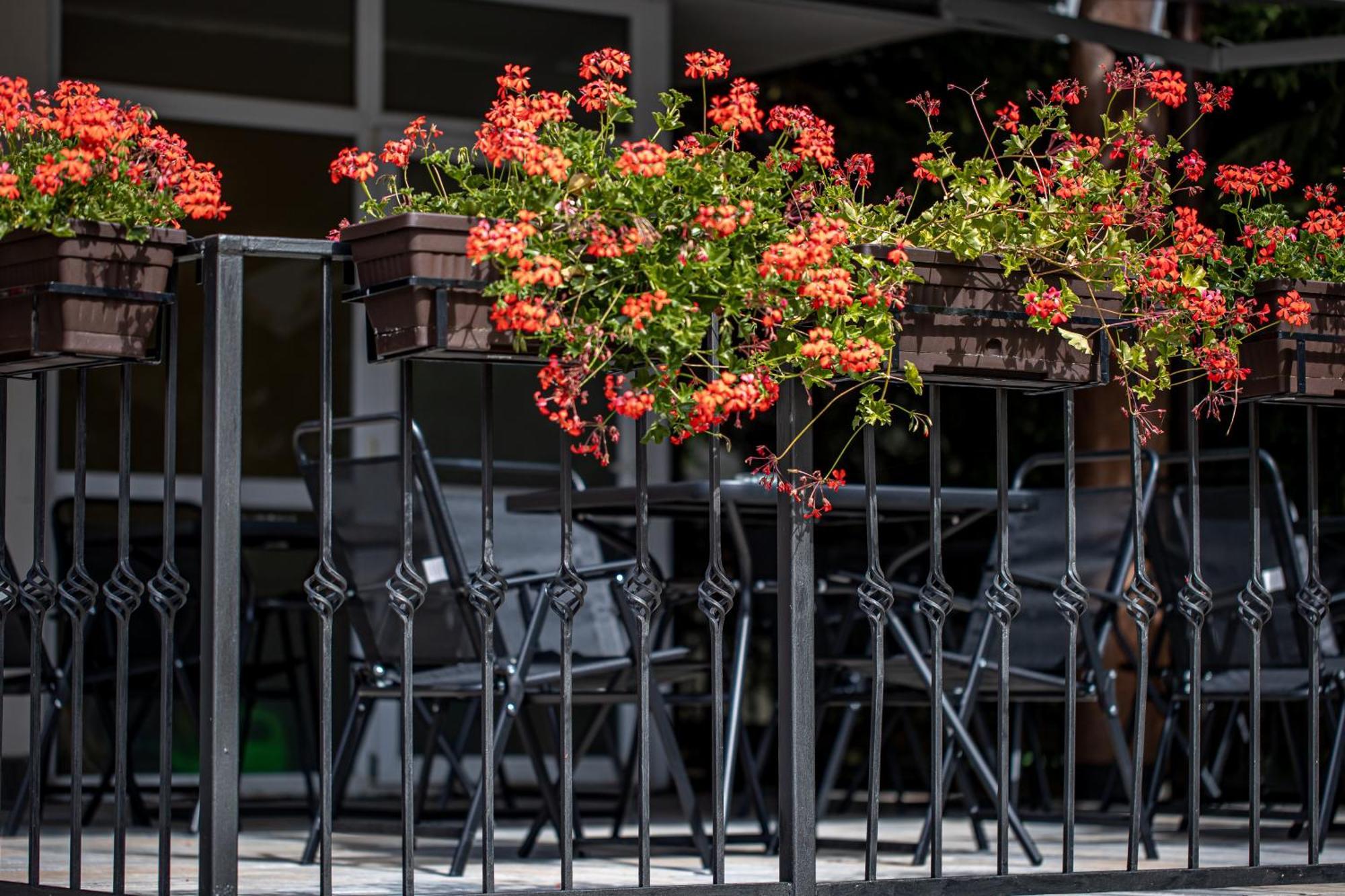 Artemis Villa Poiana Brašov Exteriér fotografie