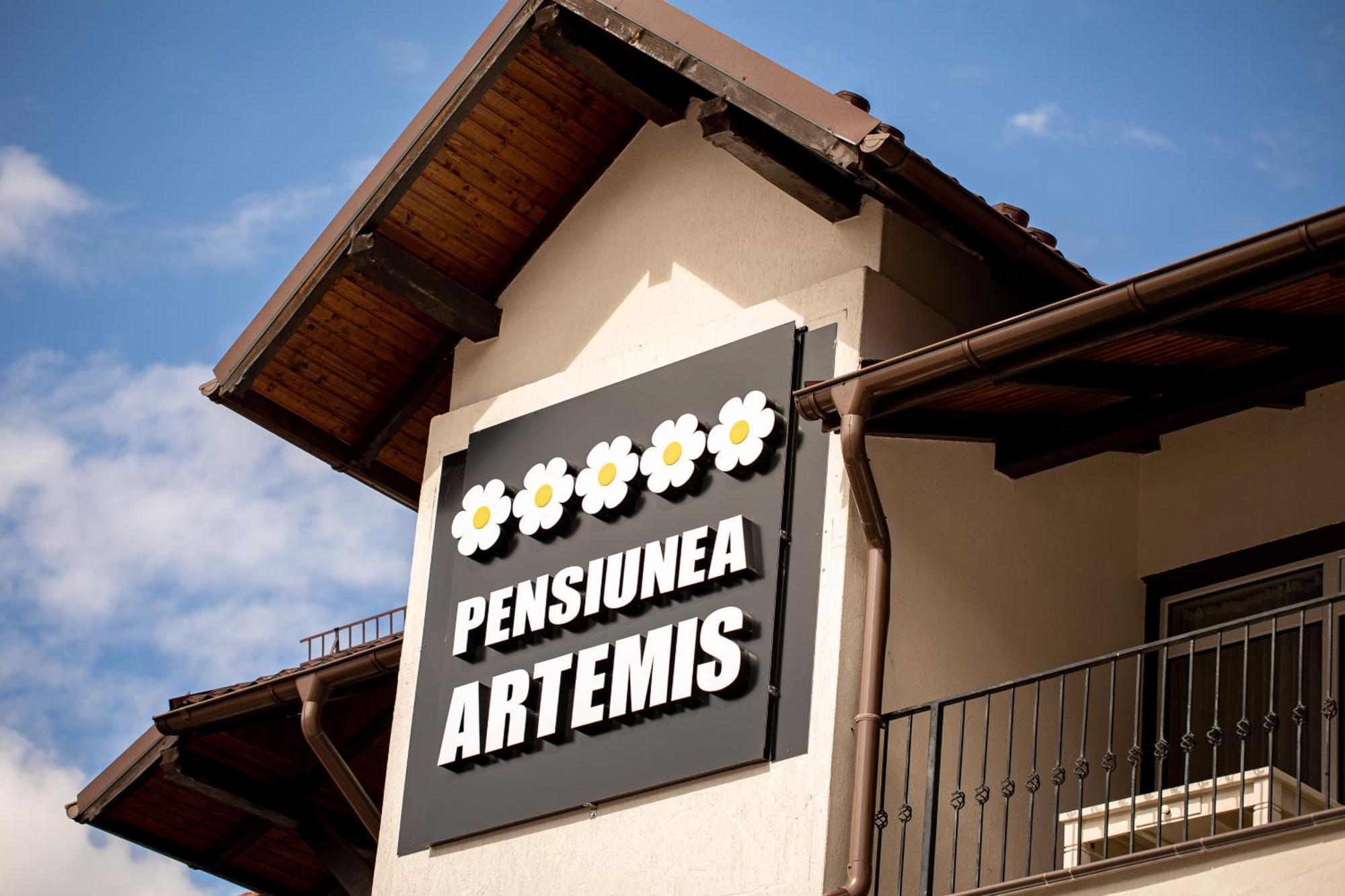 Artemis Villa Poiana Brašov Exteriér fotografie