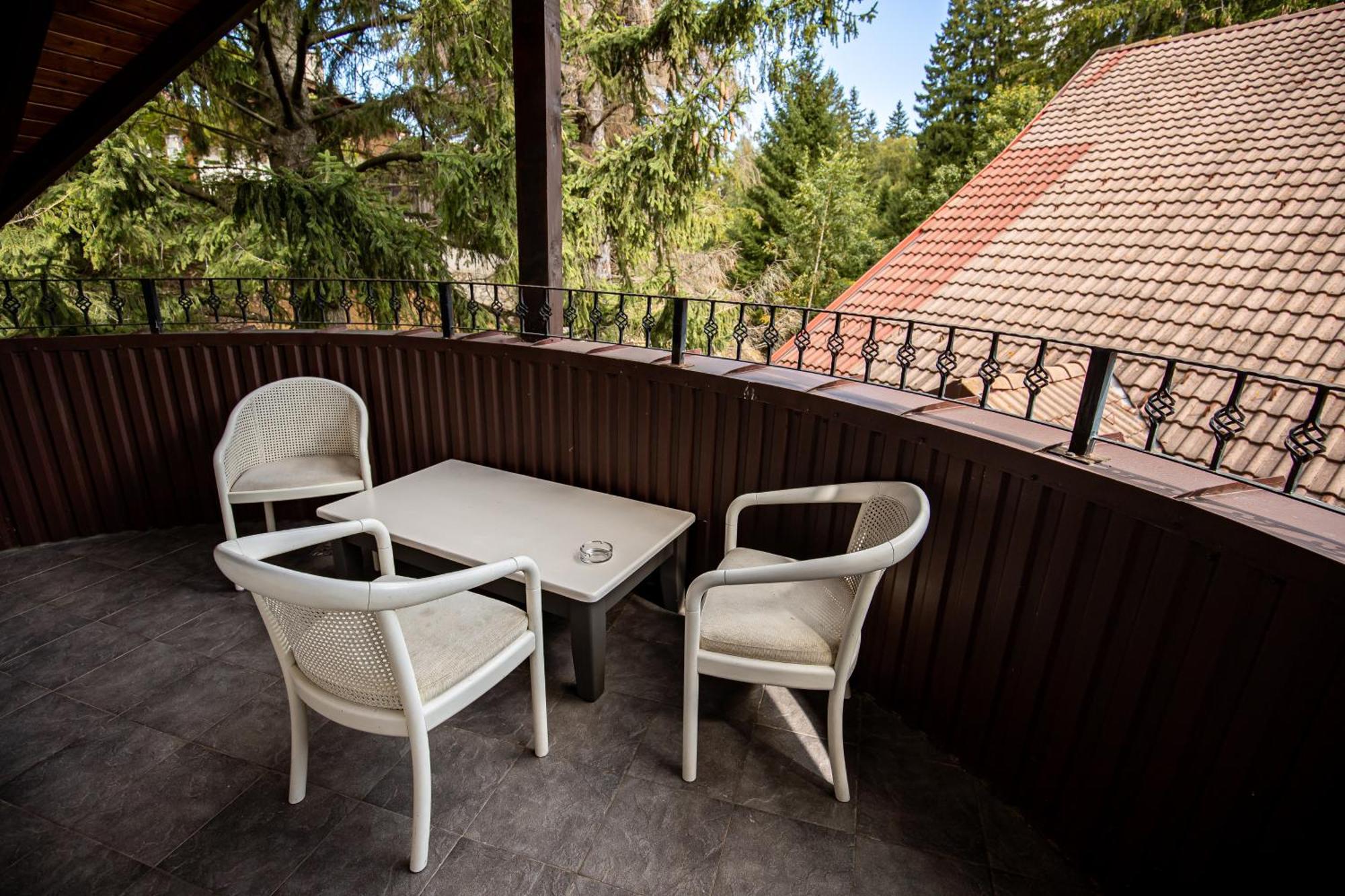 Artemis Villa Poiana Brašov Exteriér fotografie