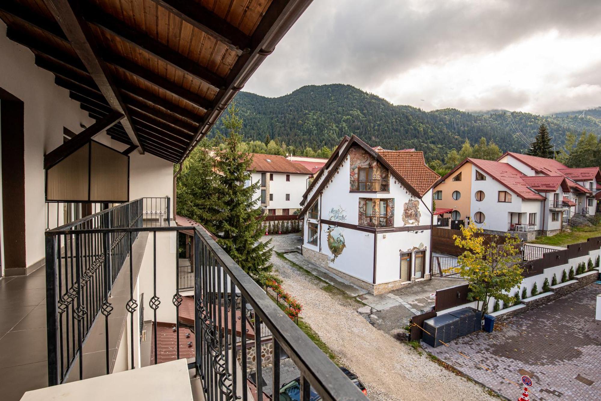 Artemis Villa Poiana Brašov Exteriér fotografie