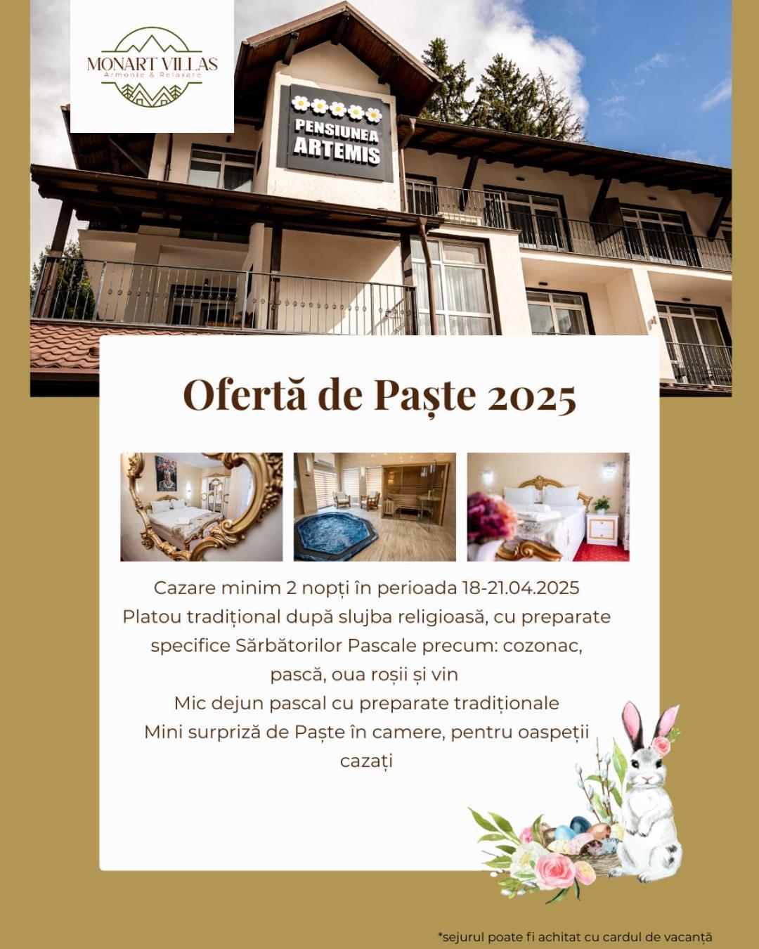 Artemis Villa Poiana Brašov Exteriér fotografie